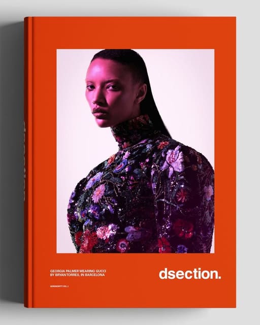 DSECTION Serendipity Vol. 2 2026 Covers — DSECTION Magazine