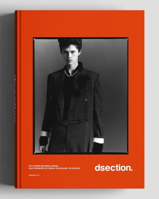 DSECTION Serendipity Vol. 2 2026 Covers — DSECTION Magazine