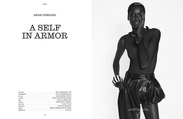 A Self in Armor — The Travel Almanac