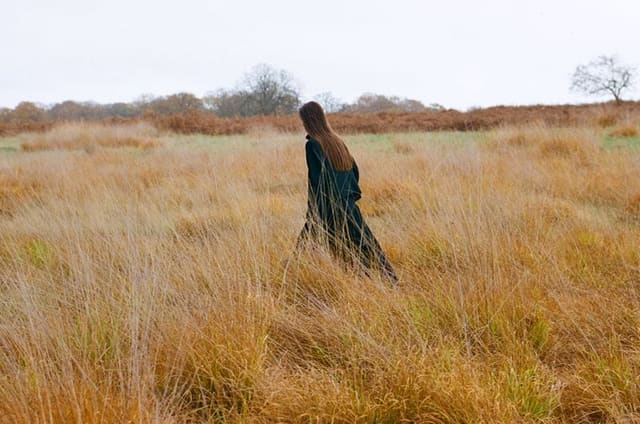 In Green Thought — Cake Magazine