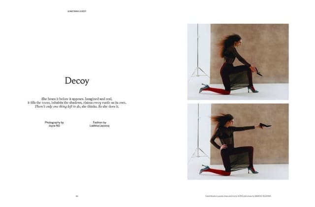 Decoy — Family Style