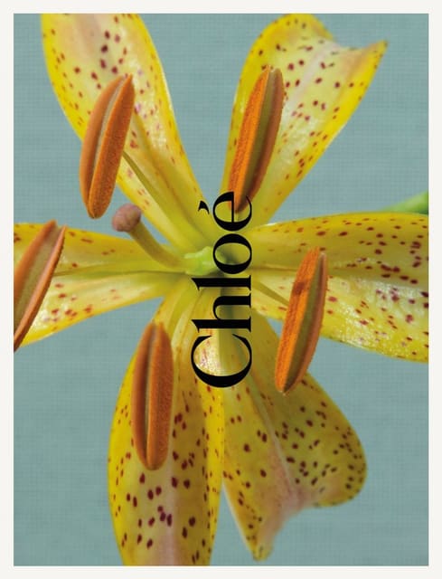 Chloé 520 — Chloé