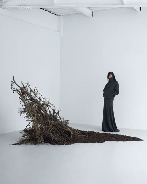 The Outsider Plant — Rouge Fashionbook