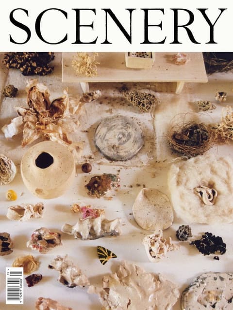 Scenery Issue 5 Cover