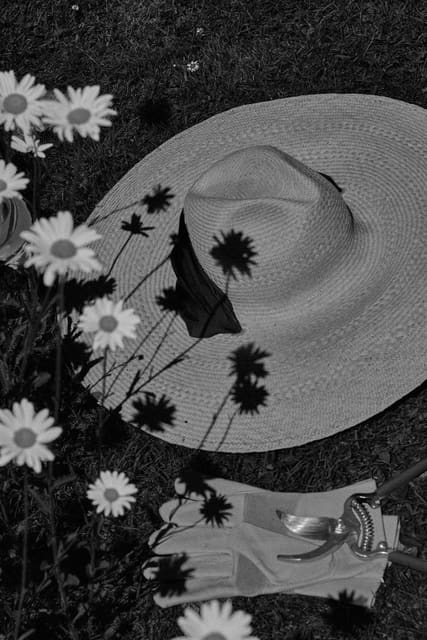 FLEURIE — Johanna Ortiz