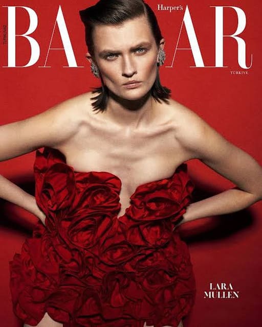 Harpers Bazaar Turkey May 2025 Digital C... — Harper's Bazaar Turkey