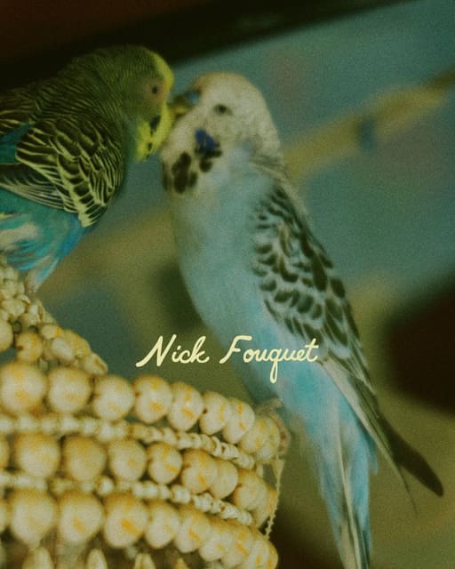 Nick Fouquet