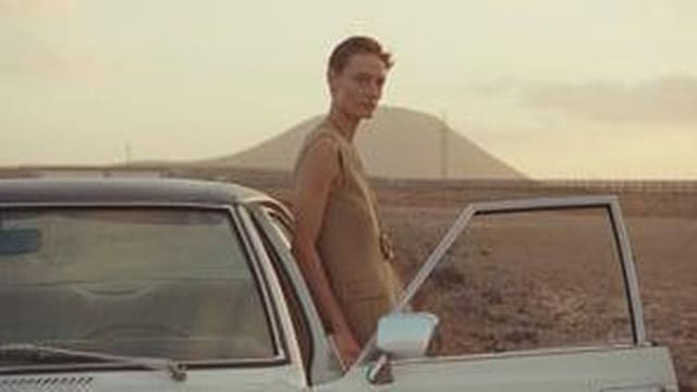MASSIMO DUTTI STUDIO - DROP II — Massimo Dutti