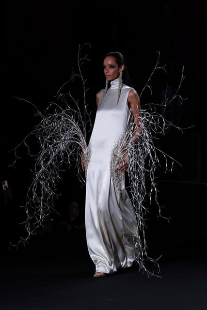 Stéphane Rolland Haute Couture Fall 2026... — Stéphane Rolland