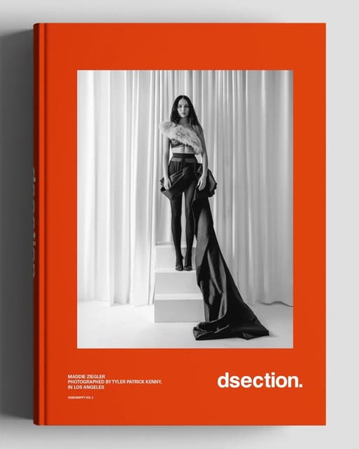DSECTION Serendipity Vol. 2 2026 Covers — DSECTION Magazine