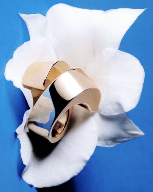 A flower is a flower is a flower — D Repubblica