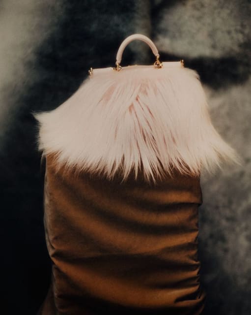 Cozy — D Repubblica