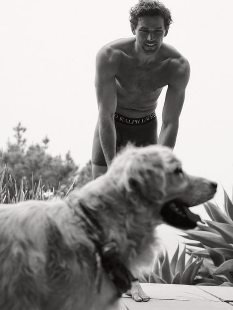 Polo Men's Underwear — Polo Ralph Lauren