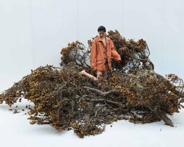 Private Landscapes — Pull Letter Magazine
