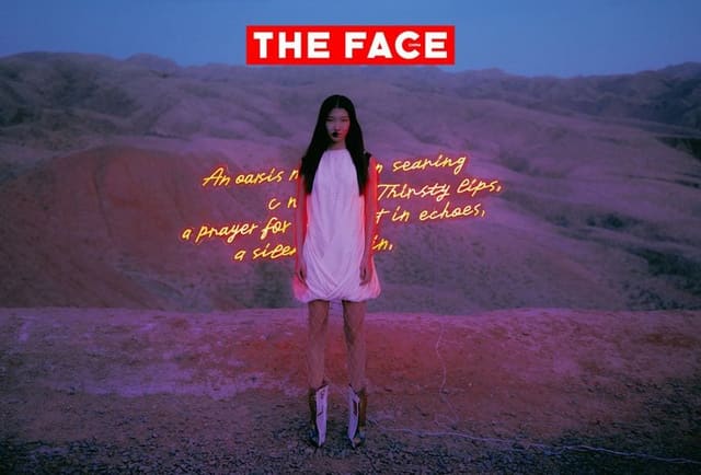 The Face China 100: Portraits of 100 Chi... — The Face China