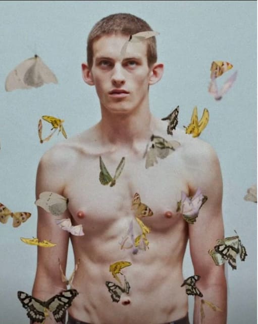Valentino Butterfly — Valentino