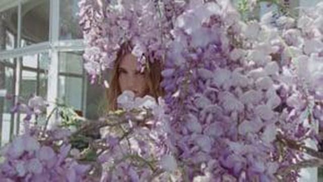 Ulla Johnson F/W 2026 Campaign — Ulla Johnson