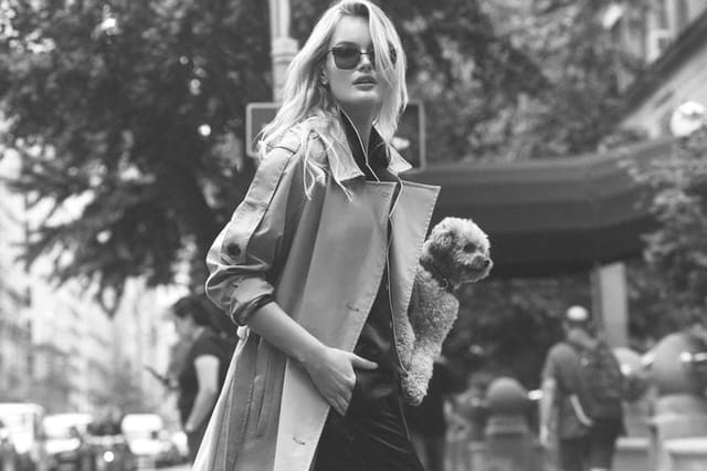 Petite Plume Collection '26
