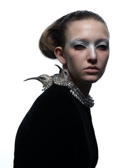 TAXIDERMY — Dust Magazine China