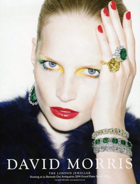 David Morris F/W 14 Campaign — David Morris