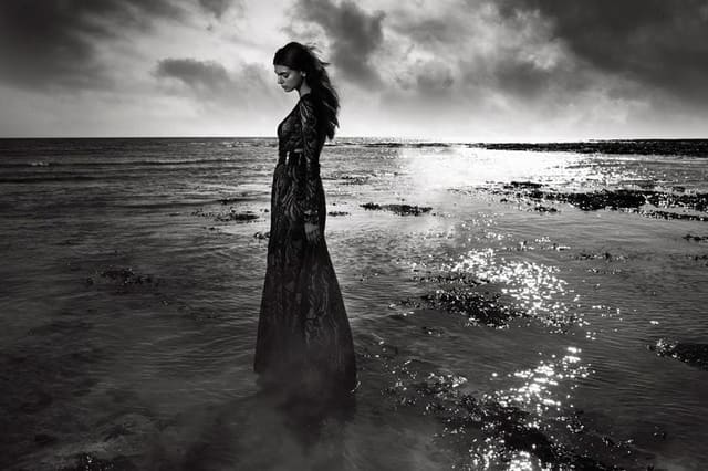 Net-A-Porter Call of the Wild — Net-A-Porter