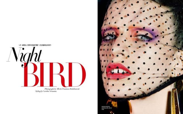 Night Bird by Alberto Tommaso Badalament... — Harper's Bazaar Hong Kong