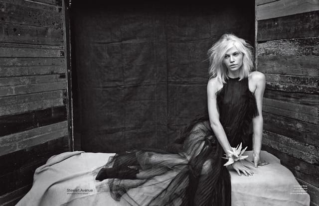 Stewart Avenue — Zoo Magazine