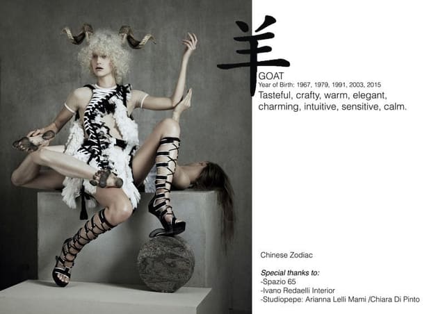 Chinese Zodiac — LUISAVIAROMA