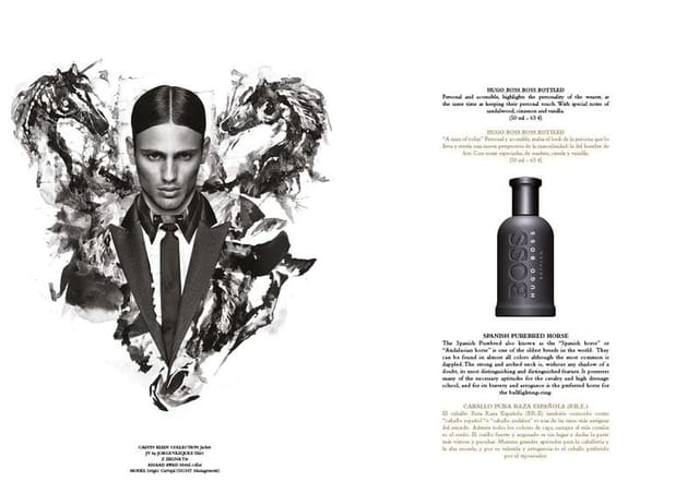 Thoroughbred Scents — Horse Magazine