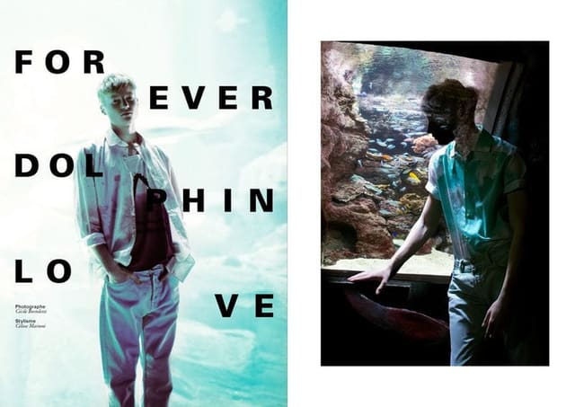 Forever Dolphin Love — Spray Magazine