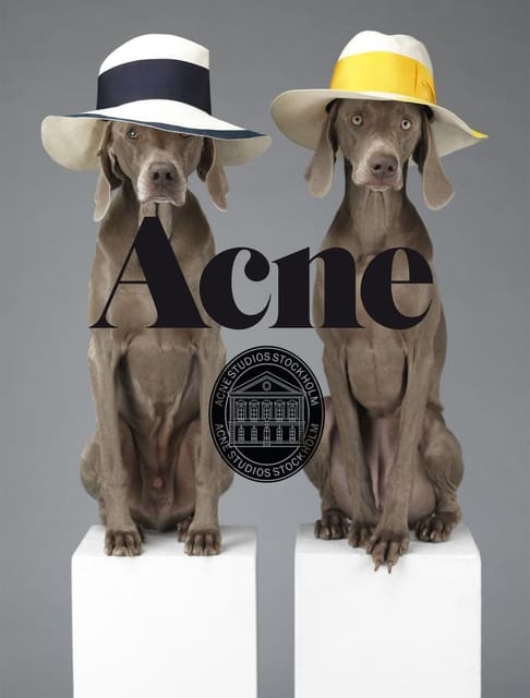 Acne Paper S/S 13 Covers — Acne Paper