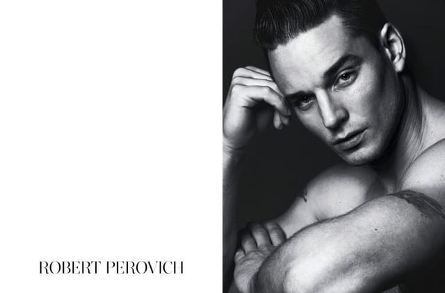 Robert Perovich