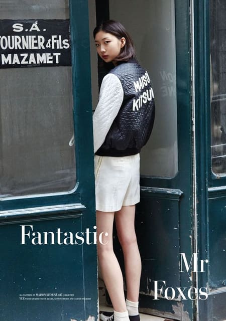 Fantastic Mr Foxes — Lula Magazine