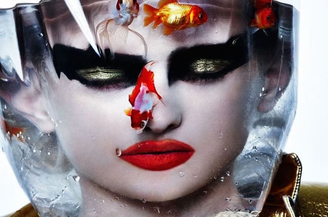 Submerged — Creem Magazine