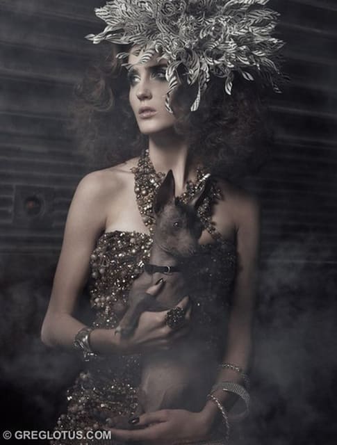 Vogue Italia Suggestions February 2010 — Vogue Italia