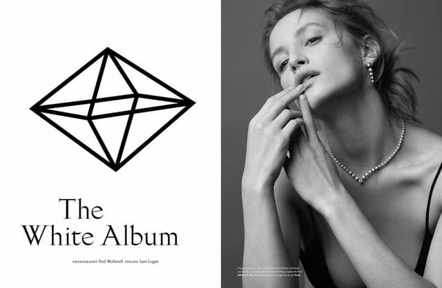 The White Album — On The Rocks Magazine