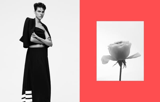 Corsage — The Lab Magazine