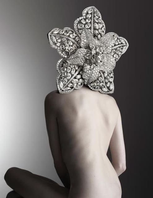 Celestial Diamond Brooches — T: The New York Times Style Magazine