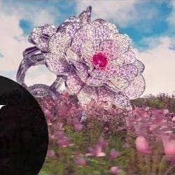 The Not So Secret Garden — W Magazine
