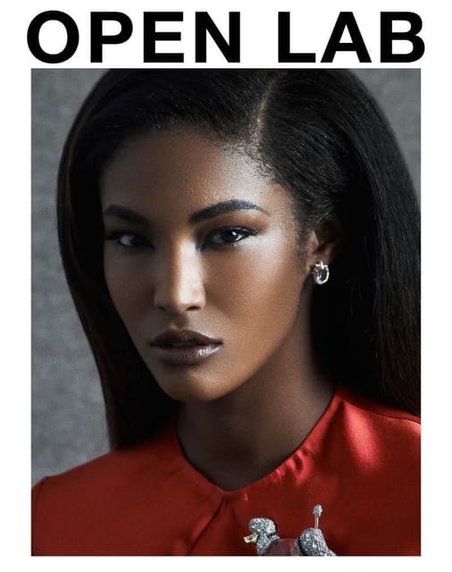 Open Lab magazine F/W 15 Covers — Open Lab Magazine