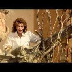 Dolce Rosa Exelsa the Film 90s directed ... — Dolce & Gabbana