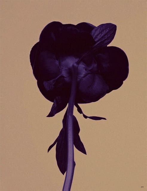 Art — Vogue Germany