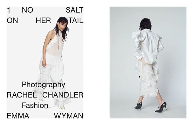No Salt on Her Tail — Near East Magazine