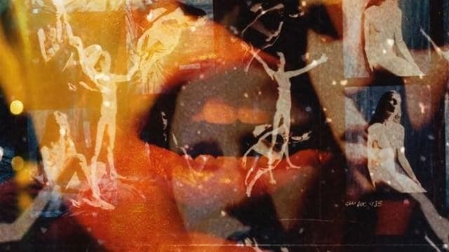 It's a Fine Line - The Delivery — Music Video