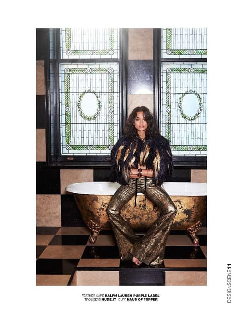 The Exotic Traveler — Design Scene