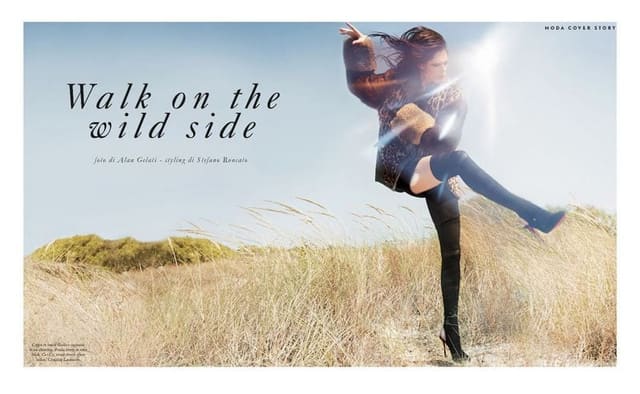 Walk on the wild side — Ladies Magazine