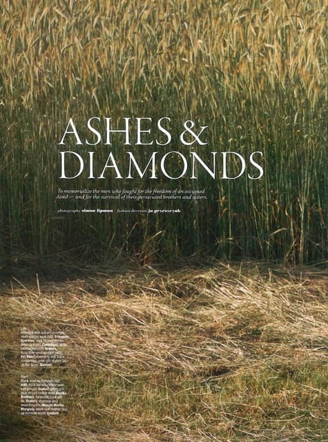 Ashes and Diamonds — The Rake