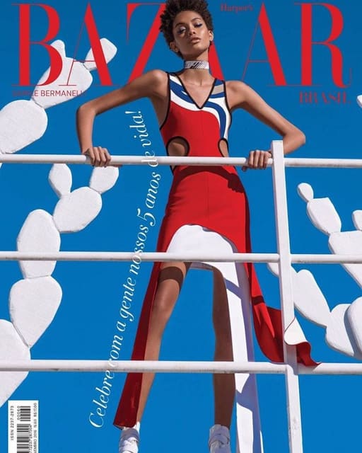 Harper's Bazaar Brazil November 2016 Cov... — Harper's Bazaar Brazil