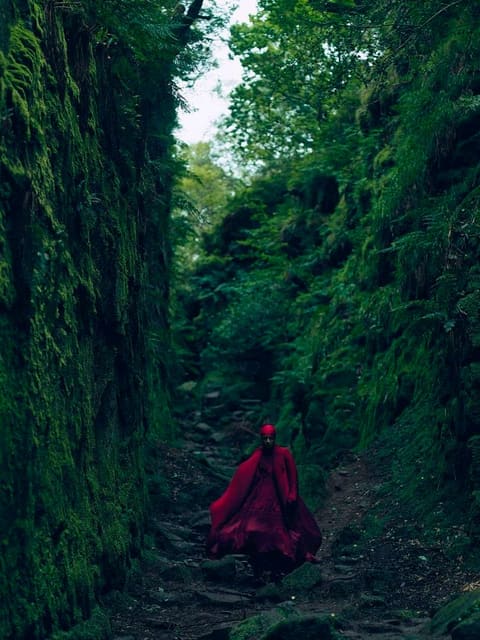 Lud for The Redthread Journal