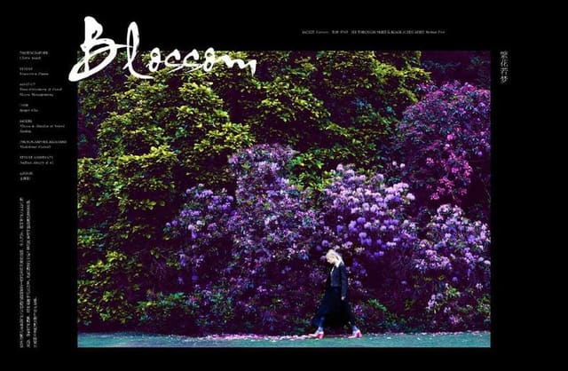 Blossom — Vision China